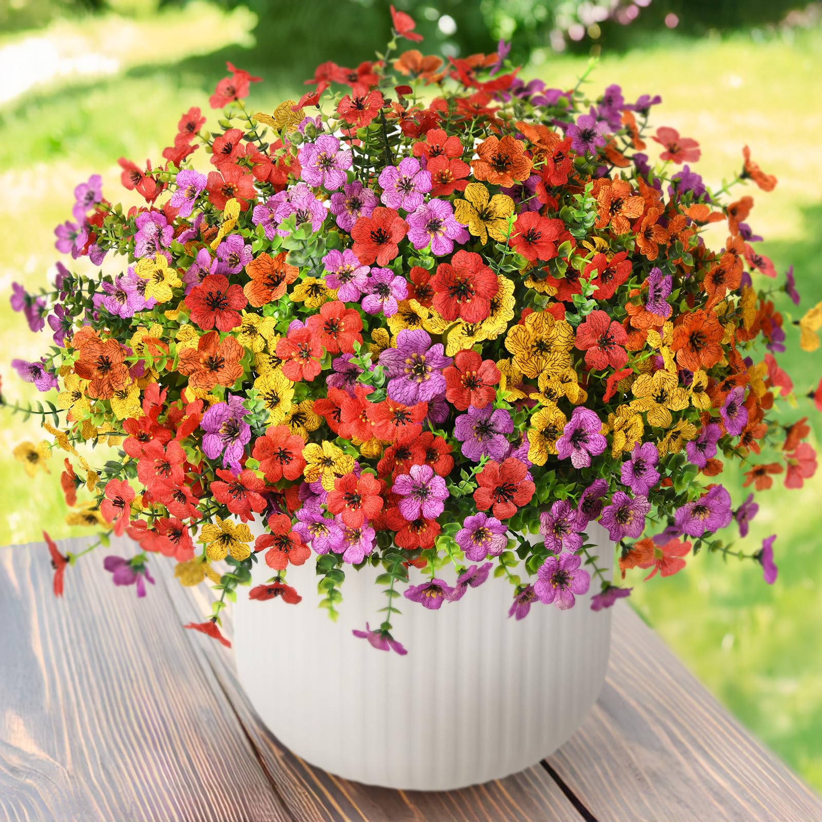 ZFProcess daisy bundle outdoor pack for vibrant porch color