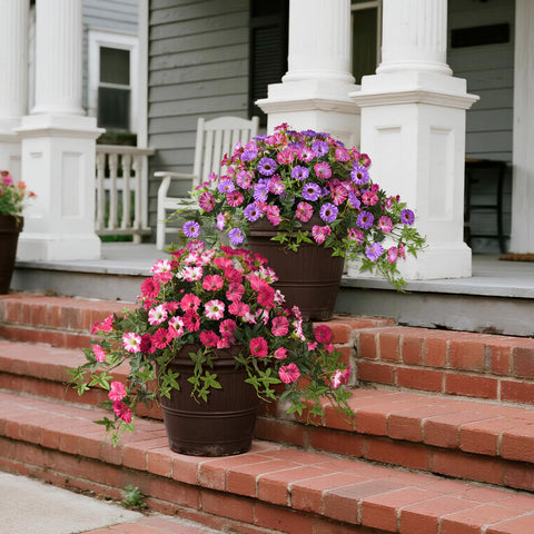 ZFProcess hanging flower for balcony or patio with lush petals.