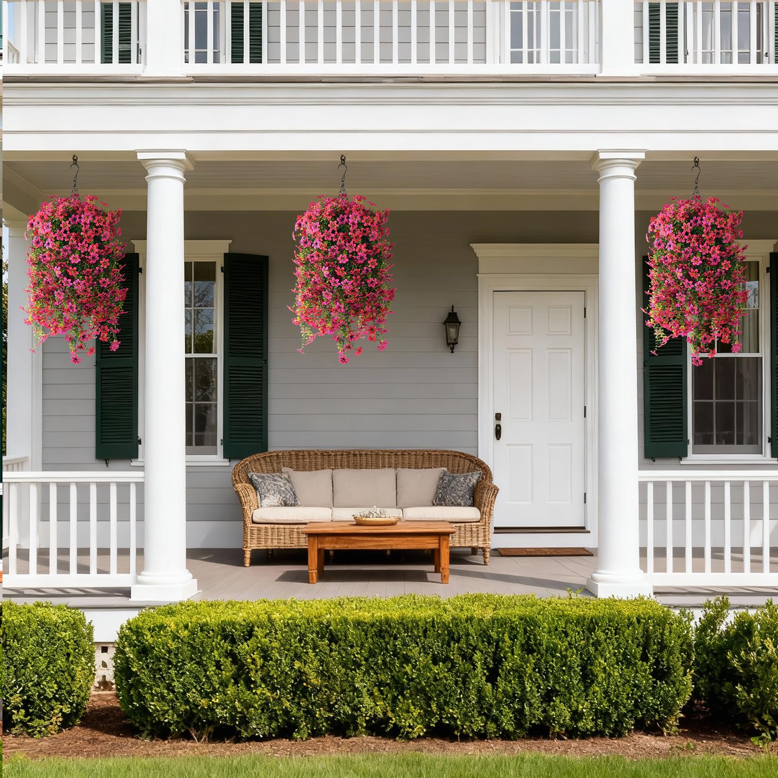 ZFProcess two-piece daisies offer easy maintenance and year-round charm