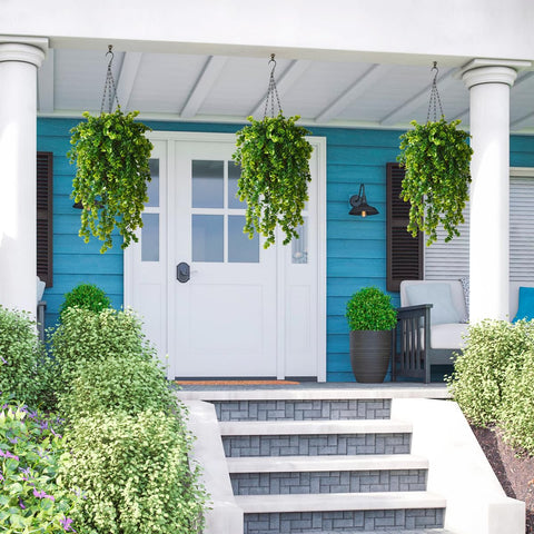 ZFProcess eucalyptus accents elevate patios, balconies, or yards