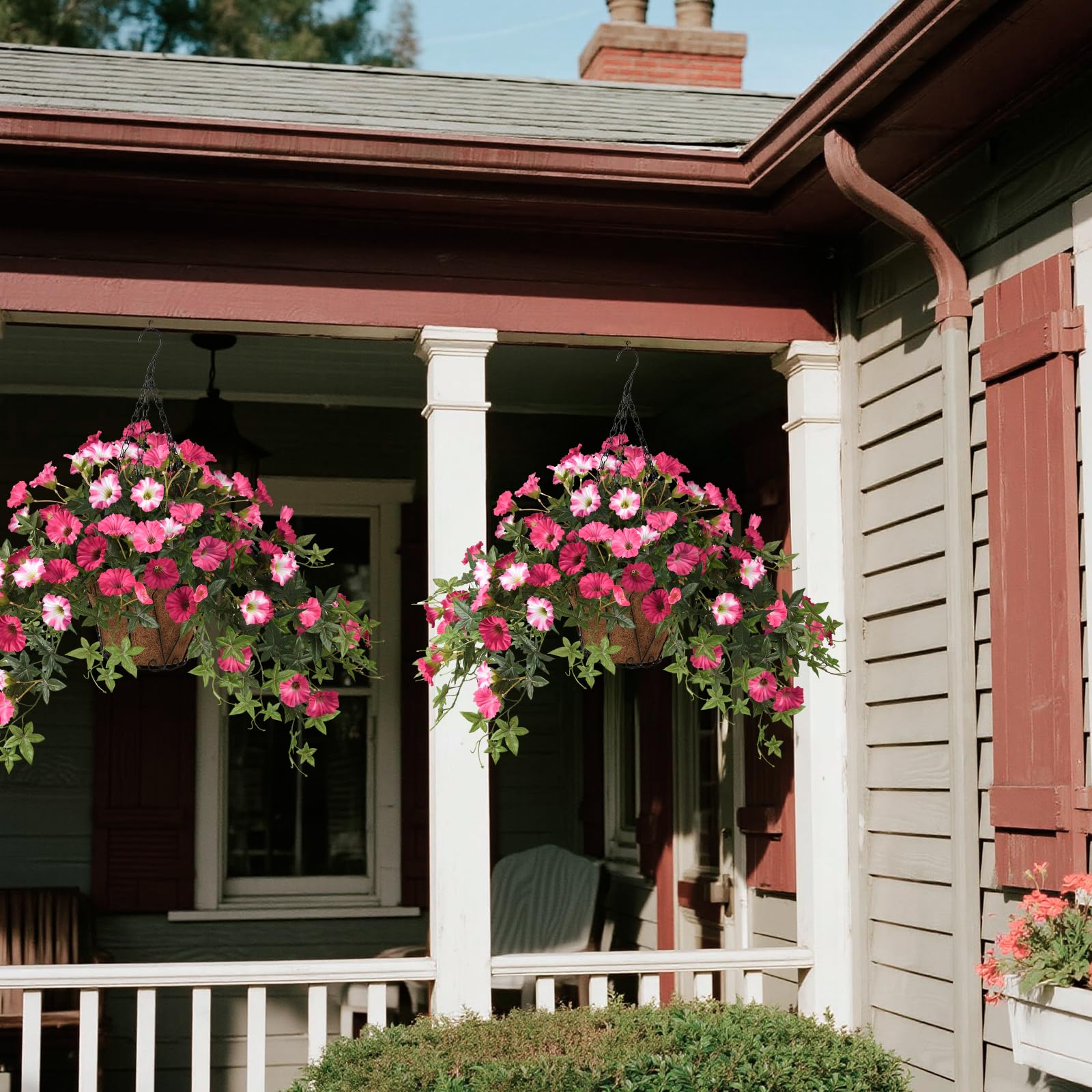 ZFProcess window box petunias decor adding color and depth.