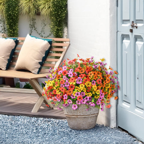 ZFProcess yard and patio daisies withstand outdoors weather