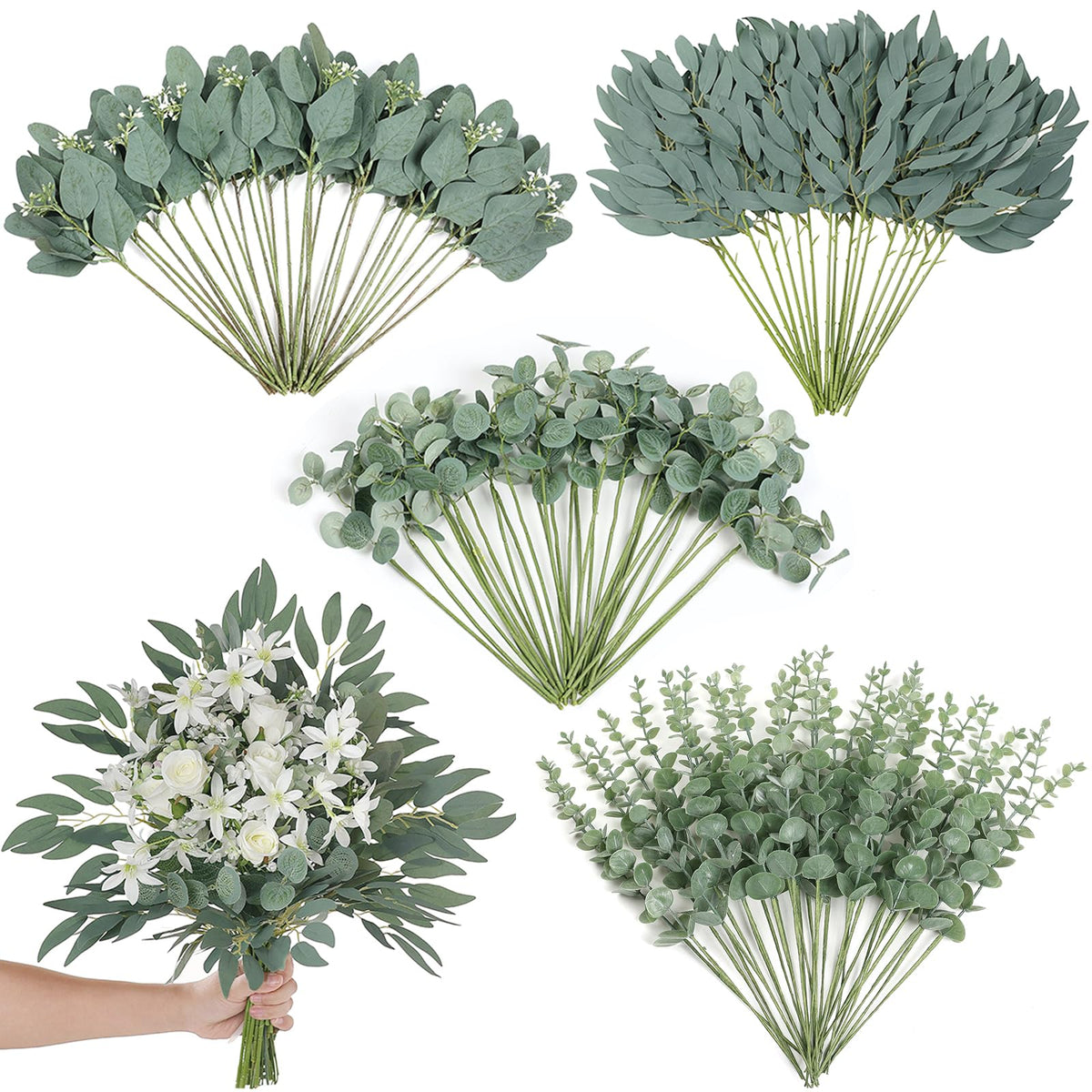 Zheart Silver Dollar Eucalyptus branch for DIY bouquets and elegant wedding accents