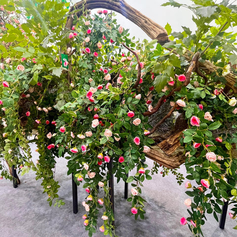 Zhixinyue easy-care roses stay vibrant with minimal maintenance.