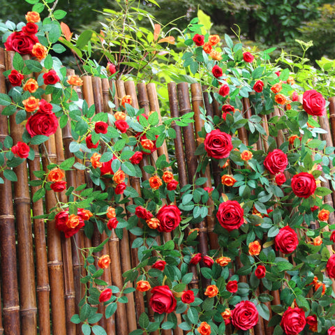 Zhixinyue rose garland on a wedding arch creates a refined backdrop.