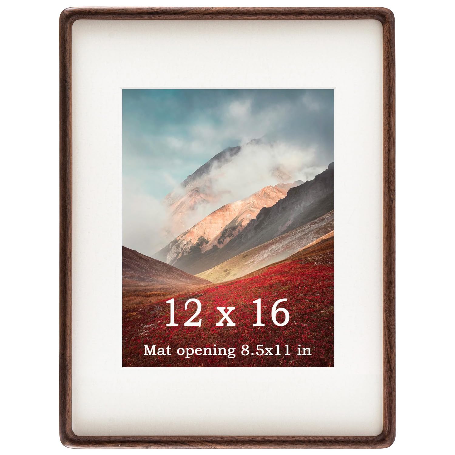 Zibrelte 12x16 walnut frame enhances wall display.