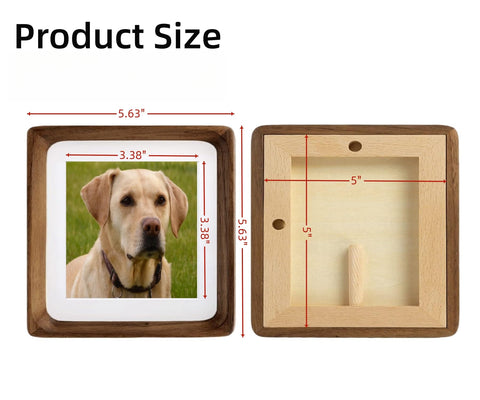 Zibrelte beveled white mat provides crisp borders and focus