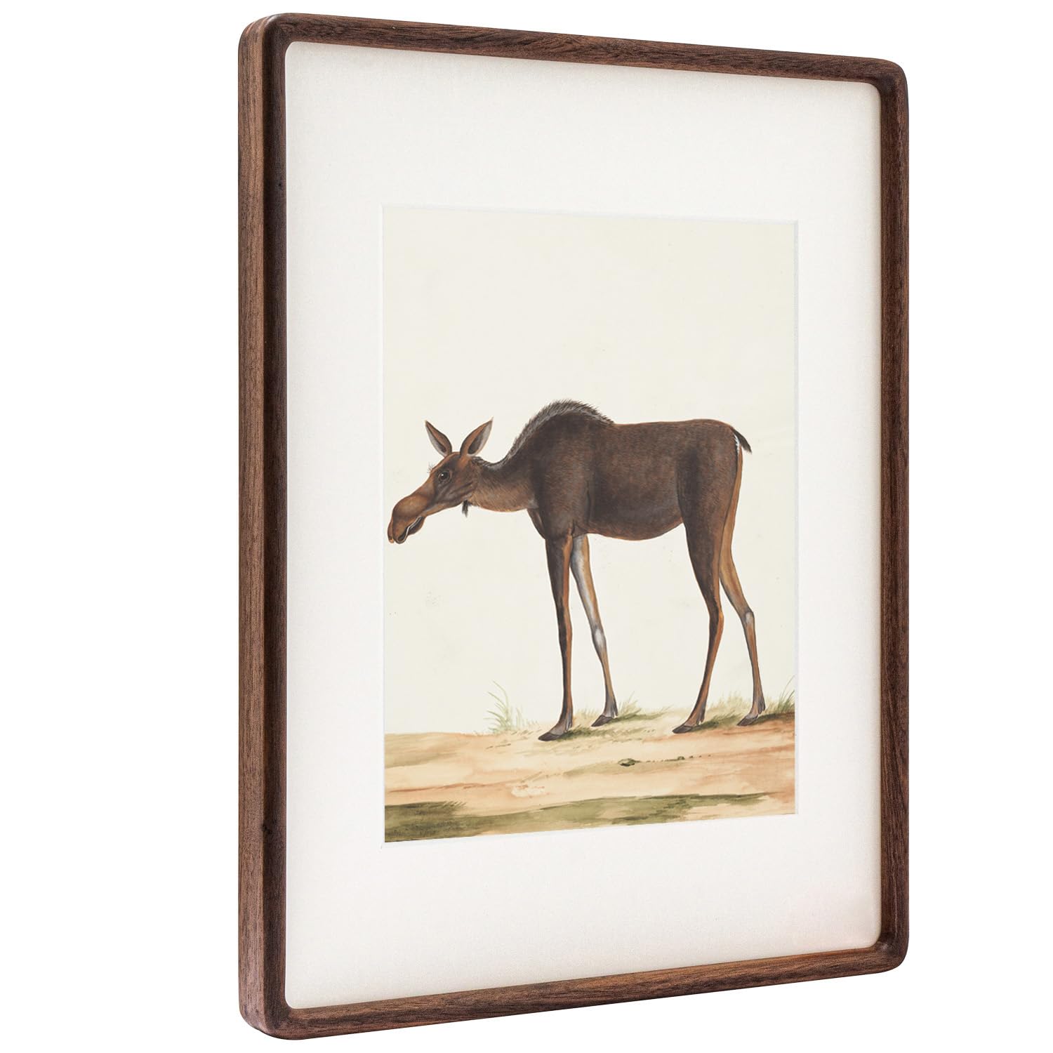 Zibrelte frame with mat opening fits 8.5x11 photos.
