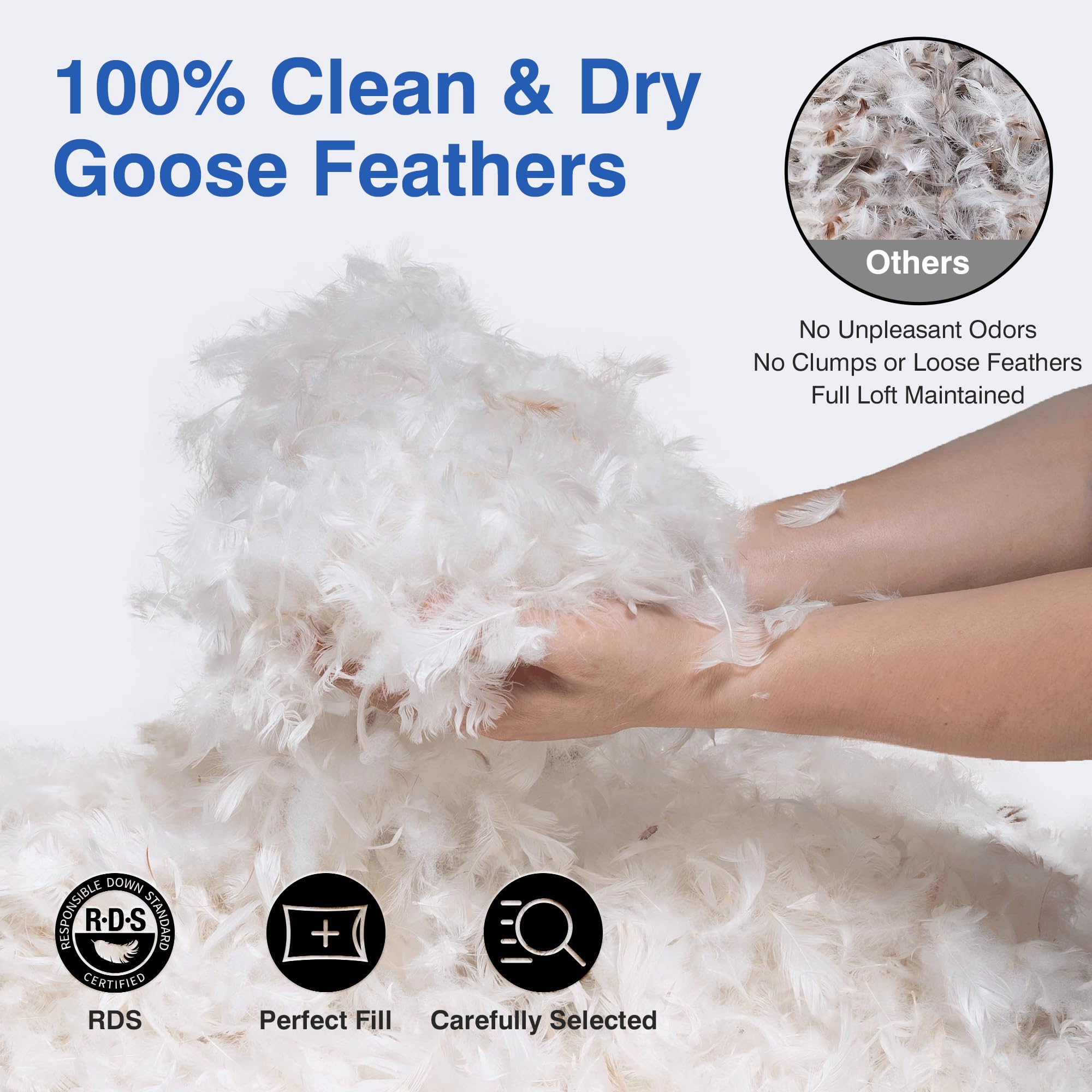 Zibroges feather pillows queen set 2 closeup cover showing smooth 600TC cotton texture.