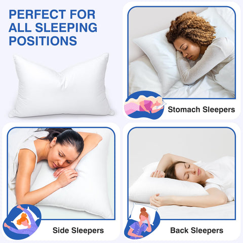 Zibroges feather pillows queen set 2 hotel-quality finish for luxurious at-home comfort.