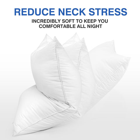 Zibroges feather pillows queen set 2 oeko-tex label confirms safe textile standard.