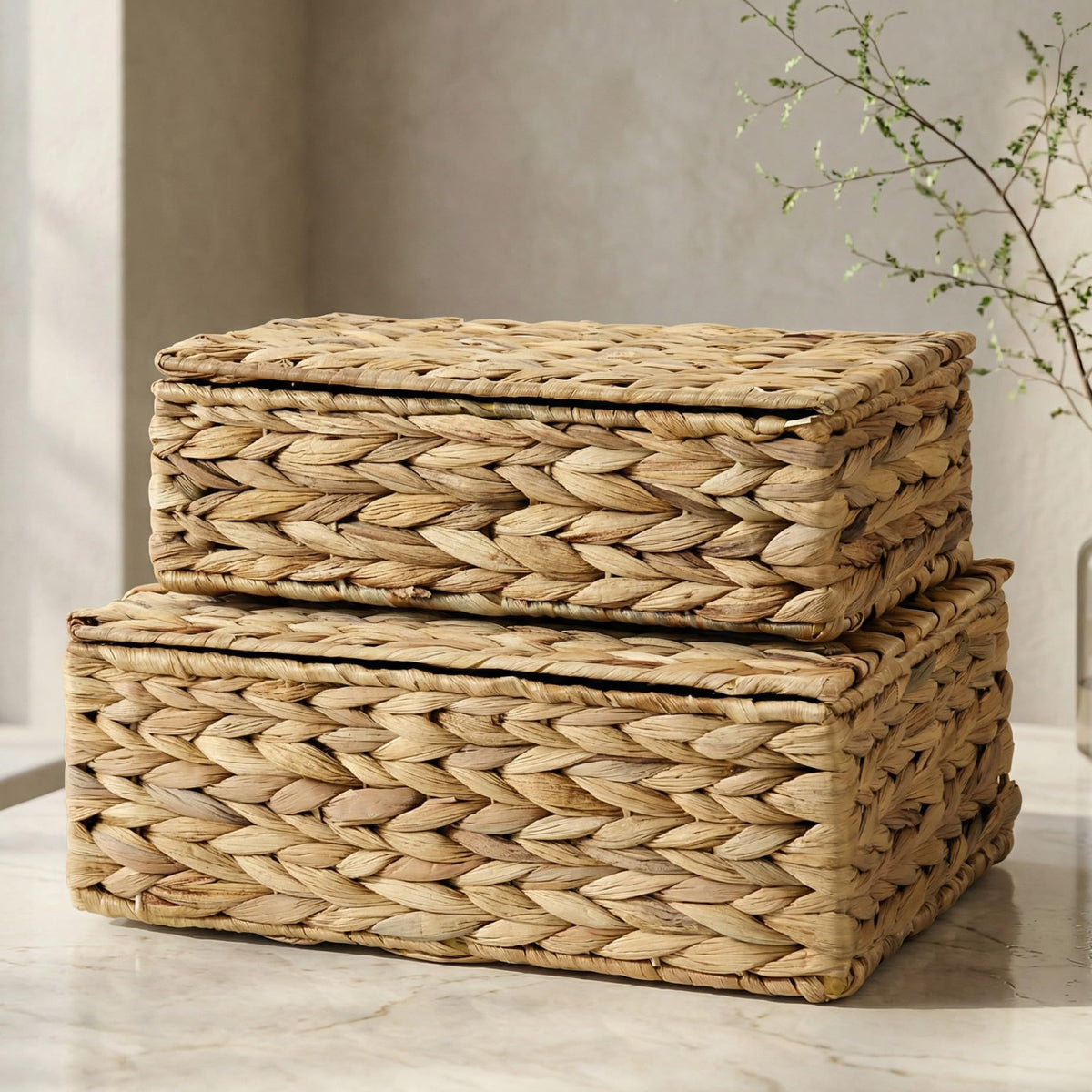ZICOTO hyacinth large storage box with lid for photos and keepsakes