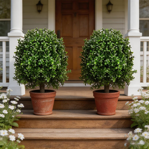 Zilithra front porch decor topiary adds evergreen elegance.