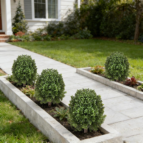 Zilithra low-maintenance topiary; no watering required.