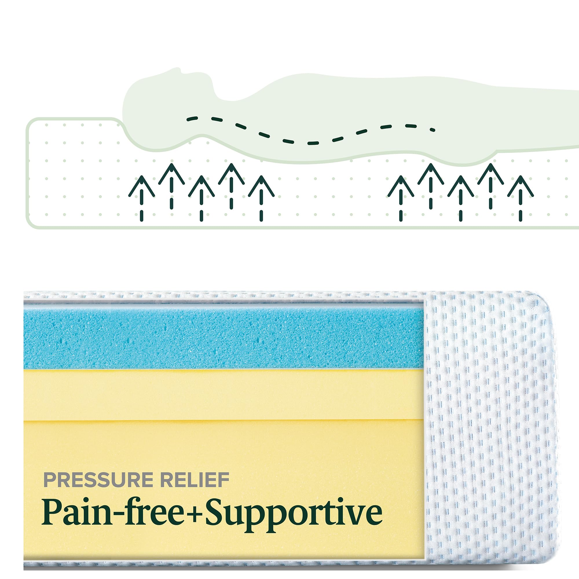 Zinus mattress cover oeko-tex-certified protects the surface for safer nights.