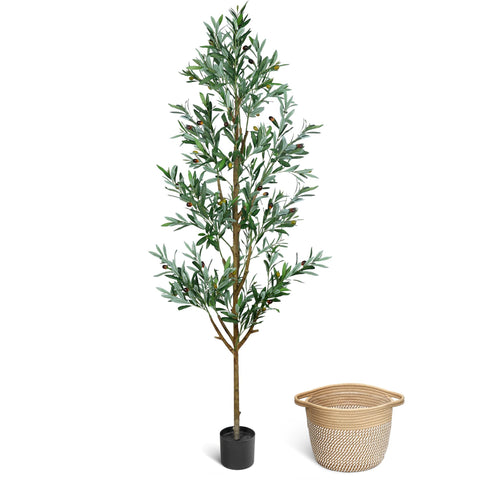 ZOES HOMDECO 6ft faux olive tree full view for stylish living room ambiance