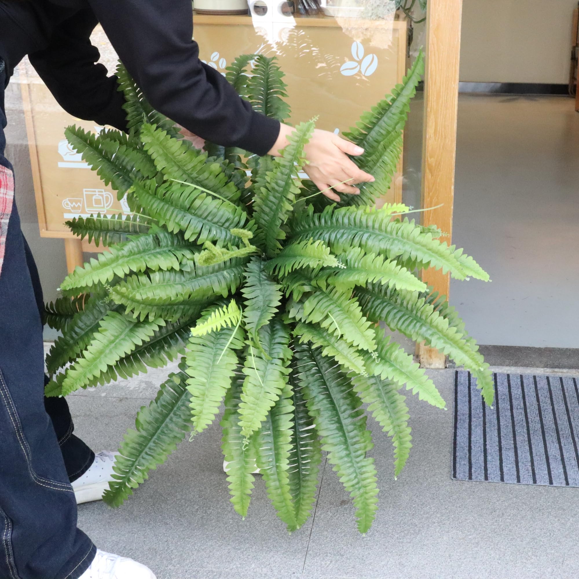 ZooFernzoom outdoor indoor fern set of 2 for versatile decor