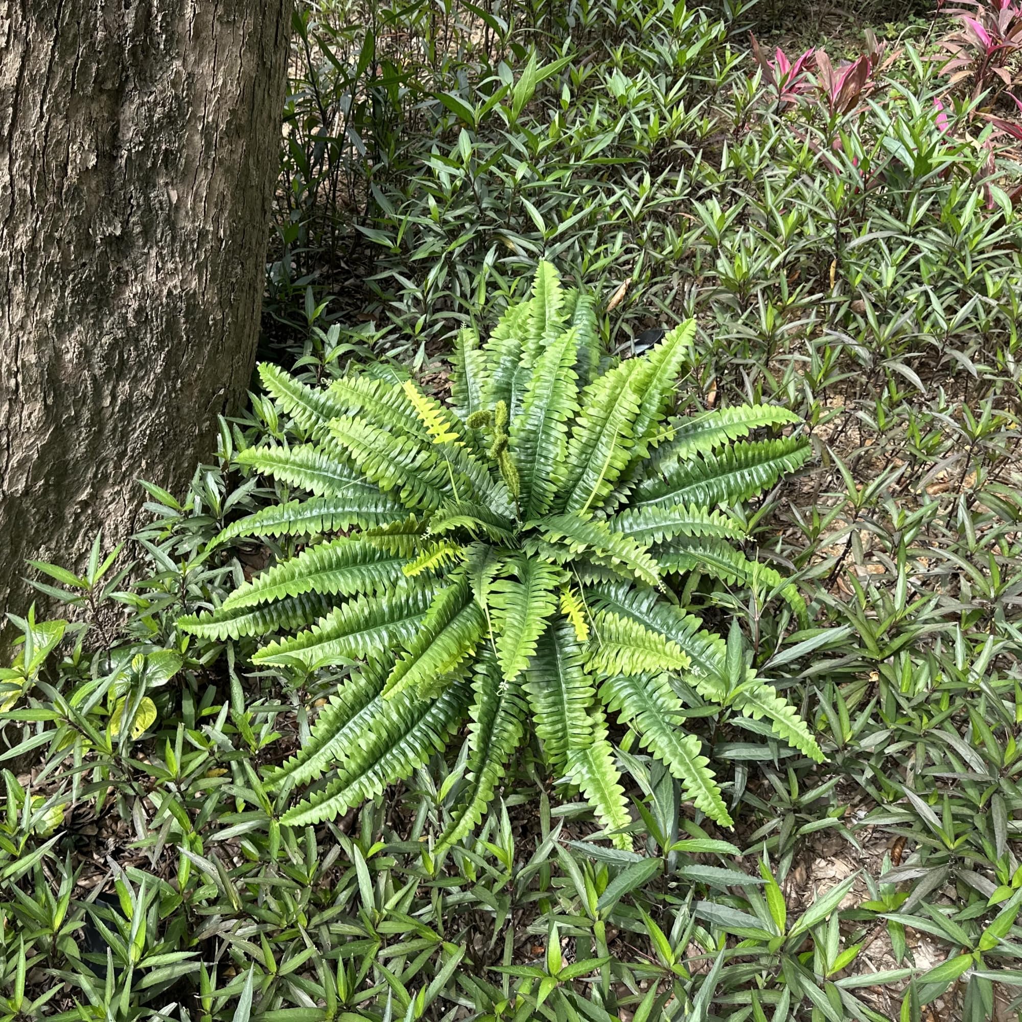 ZooFernzoom realistic faux fern texture for home or garden