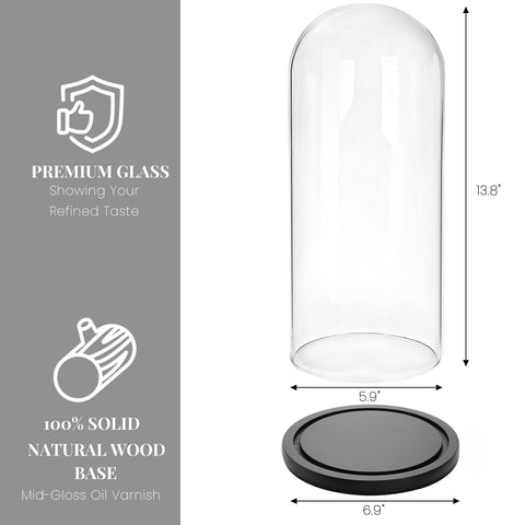 ZOOFOX borosilicate glass dome highlights clarity and durability.