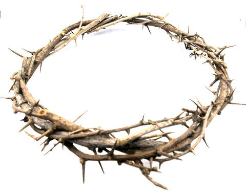 Zuluf Crown of Thorns ornament front view for home display