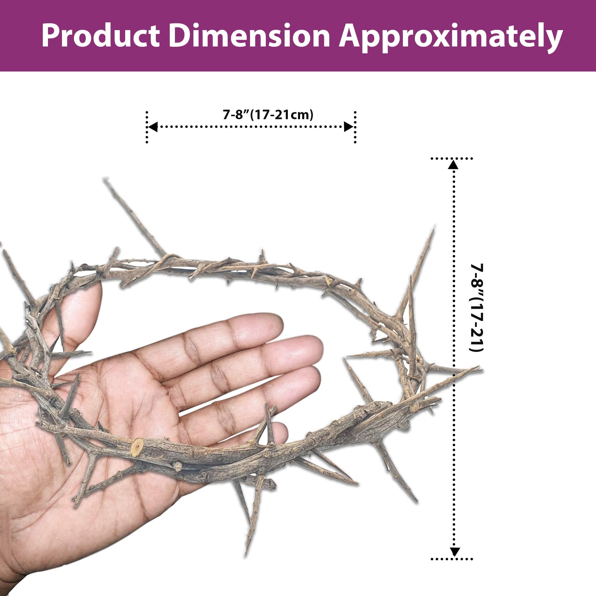 Zuluf Holy Land thorn wreath artistry close view highlights authenticity