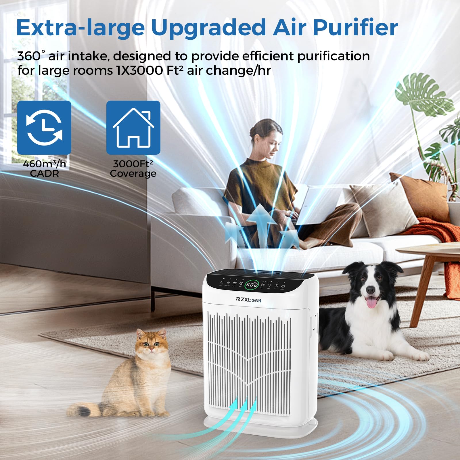 ZXBEER auto mode adjusts purification based on detected air quality.