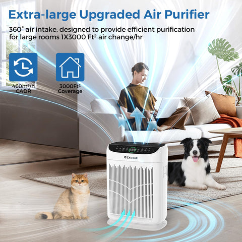 ZXBEER auto mode adjusts purification based on detected air quality.