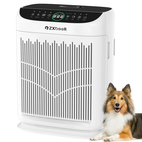 ZXBEER air purifier shows double-sided inlet for faster large-room purification.