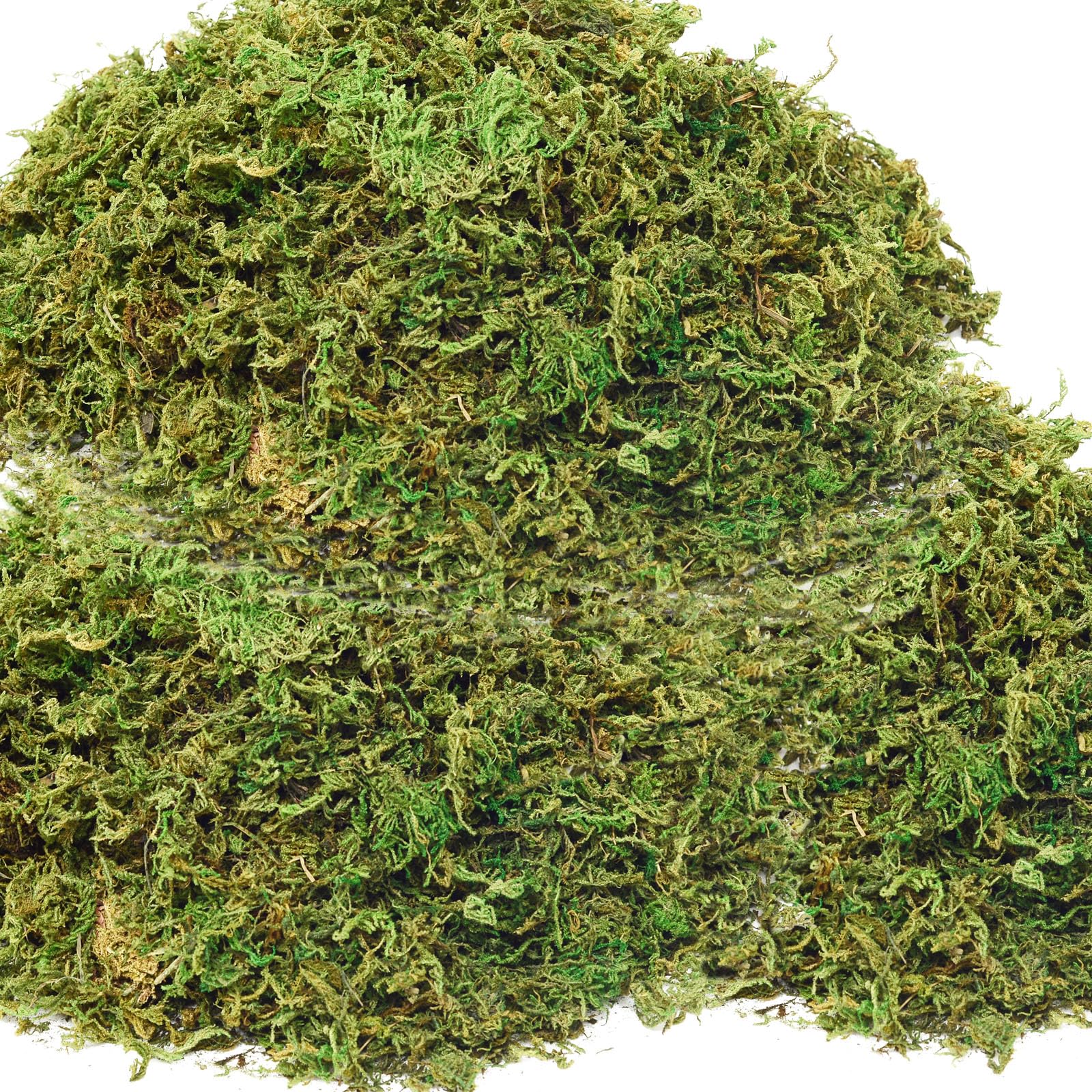 ZYAPA 19oz fake moss bundle for crafting and durable green decor.