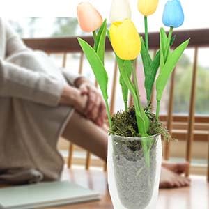 ZYAPA moss decorative accent enhances DIY projects and plant displays.