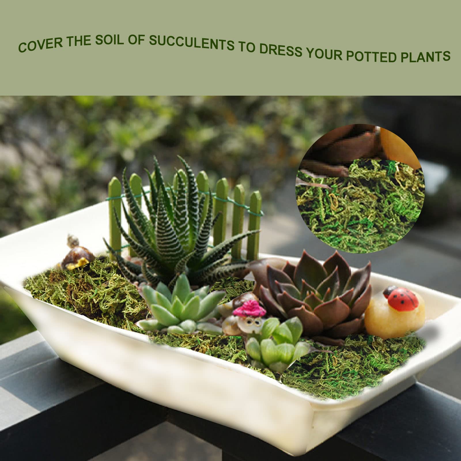 ZYAPA moss floral arrangement texture brings depth to bouquets.