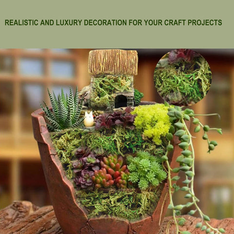 ZYAPA moss terrarium detail provides lifelike, maintenance-free appearance.