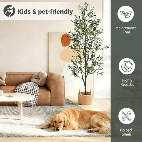Zynaro 6ft olive tree fits tight corners with adjustable fullness.