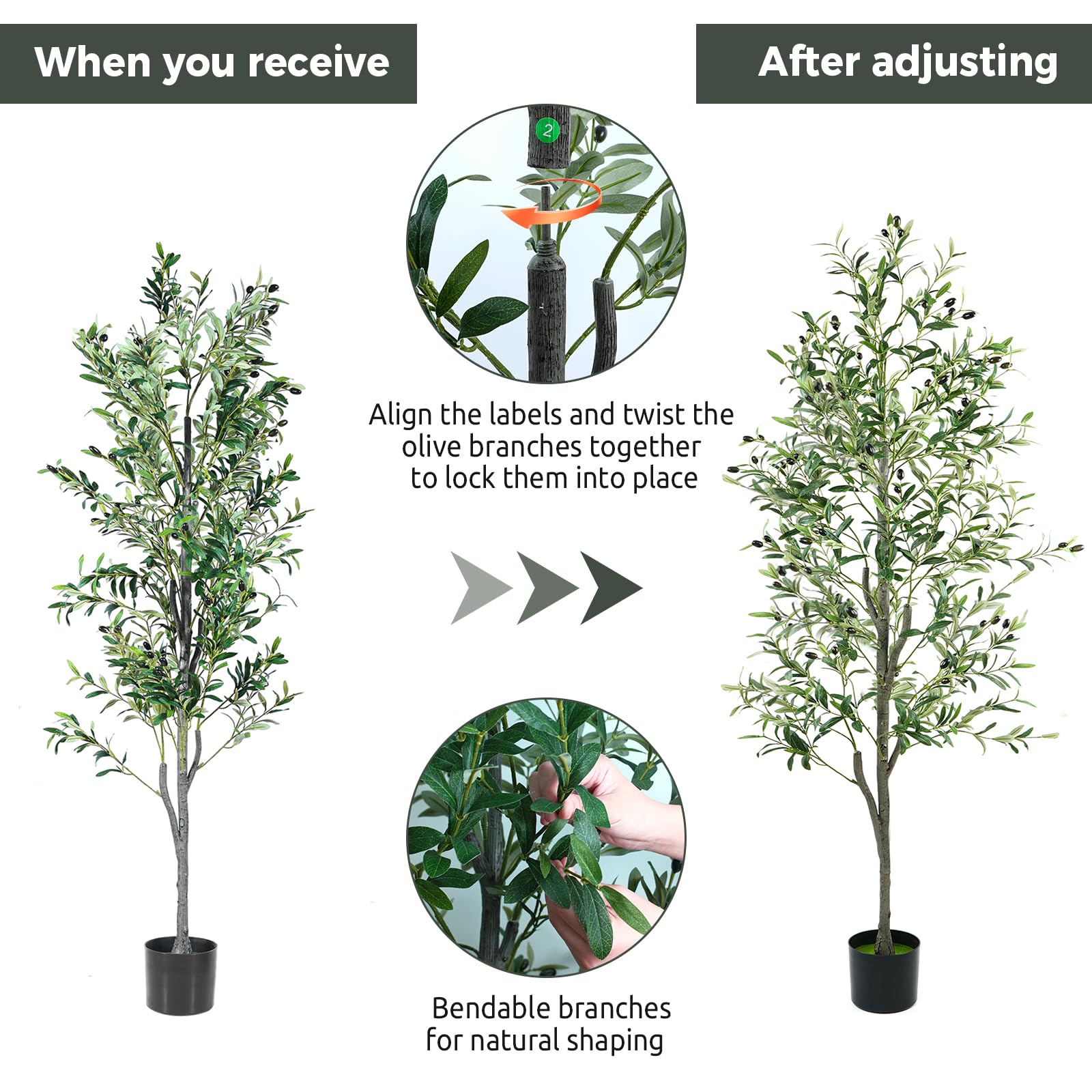 Zynaro 6ft olive tree weighted base ensures stable display.