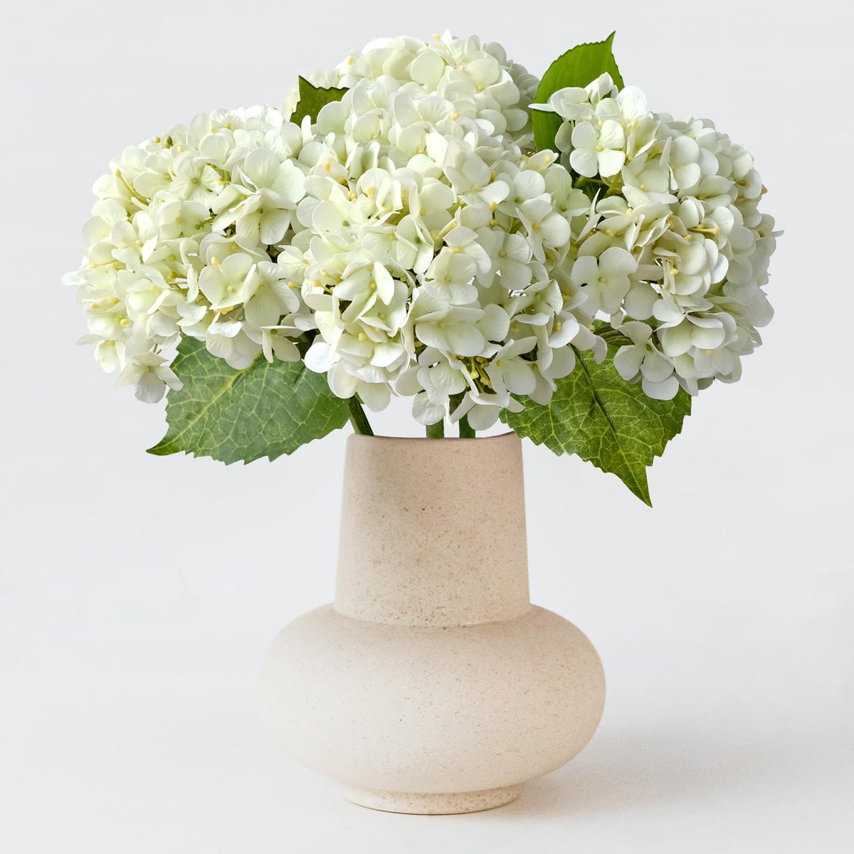 ZYTUYO hydrangea ivory white flower head close-up for elegant decor
