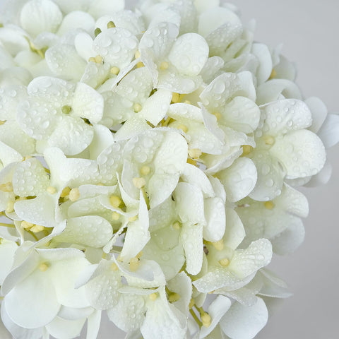 ZYTYUO four-head set ideal for DIY bouquets